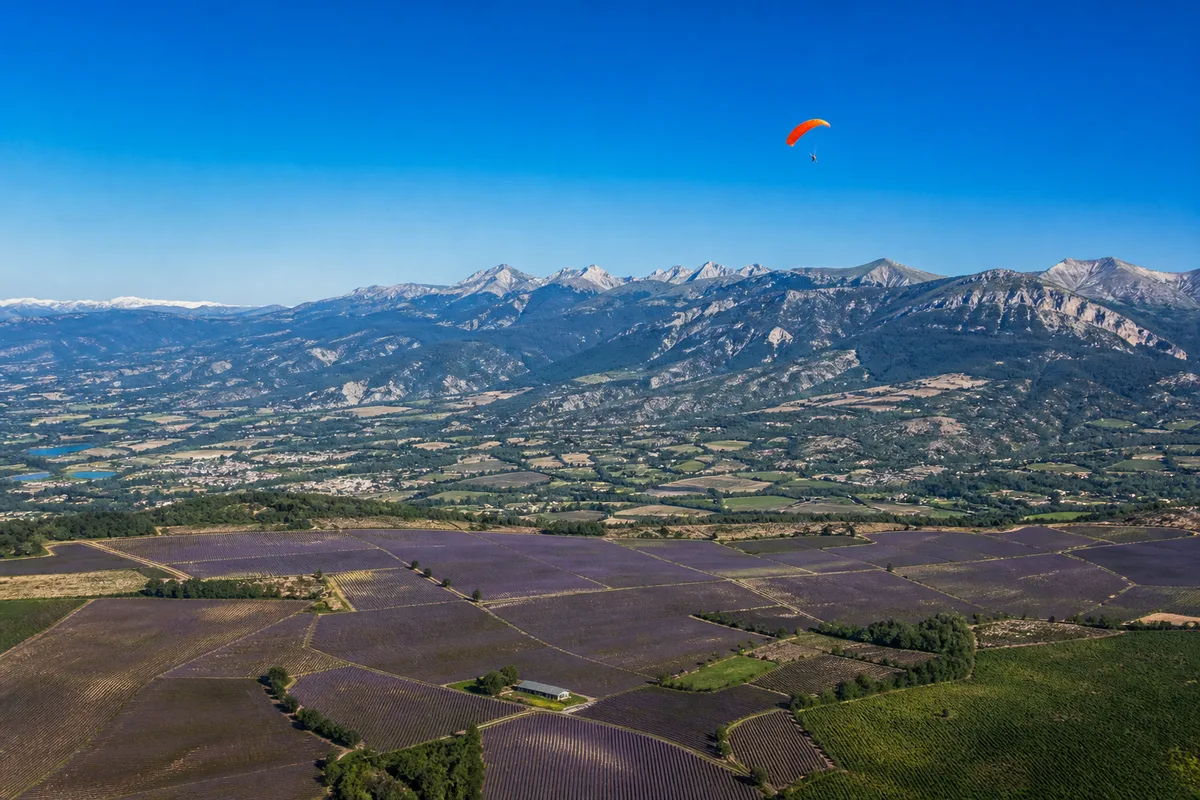 Champs de lavande du plateau de Valensole vus d’avion